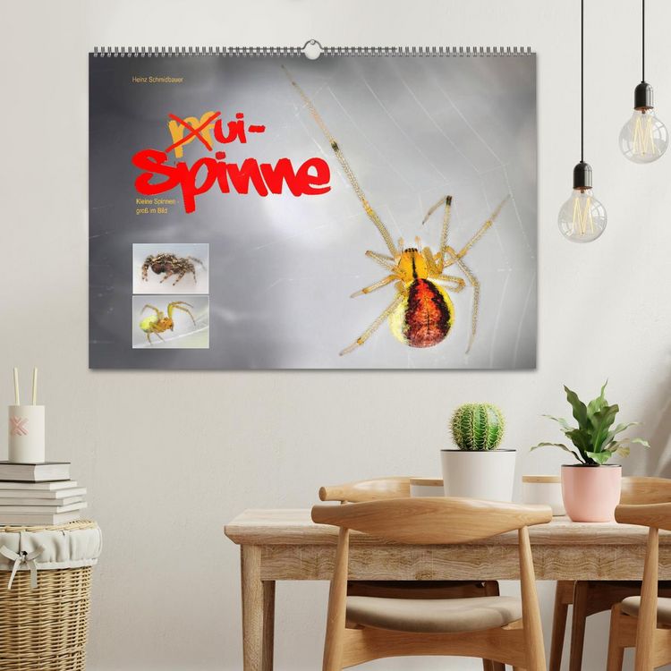 Produktbild: ui - Spinne. Kleine Spinnen - gro&szlig; im Bild (Wandkalender 2026 DIN A2 quer), CALVENDO Monatskalender