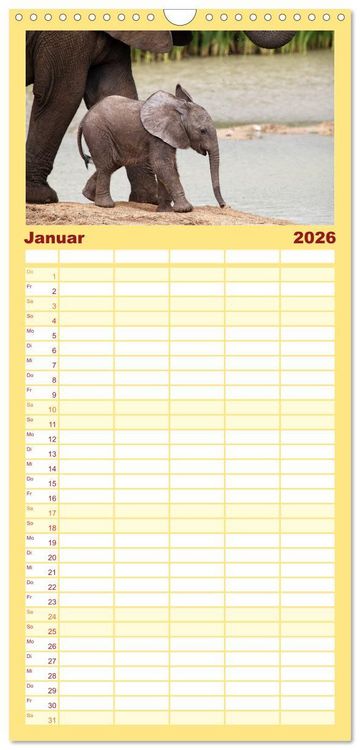 Produktbild: Familienplaner 2026 - Wildes Kinderzimmer - Tierkinder in Afrika mit 5 Spalten (Wandkalender, 21 x 45 cm) CALVENDO