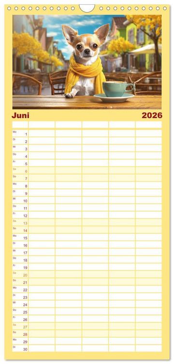 Produktbild: Familienplaner 2026 - Chillige Chihuahuas - Entspannte Fellnasen genie&szlig;en das Leben mit 5 Spalten (Wandkalender, 21 x 45 cm) CALVENDO