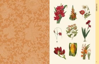 Produktbild: Botanical Art to Cut out and Collage