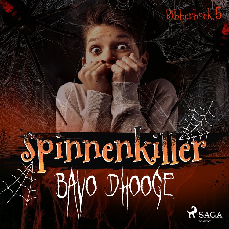 Produktbild: Spinnenkiller