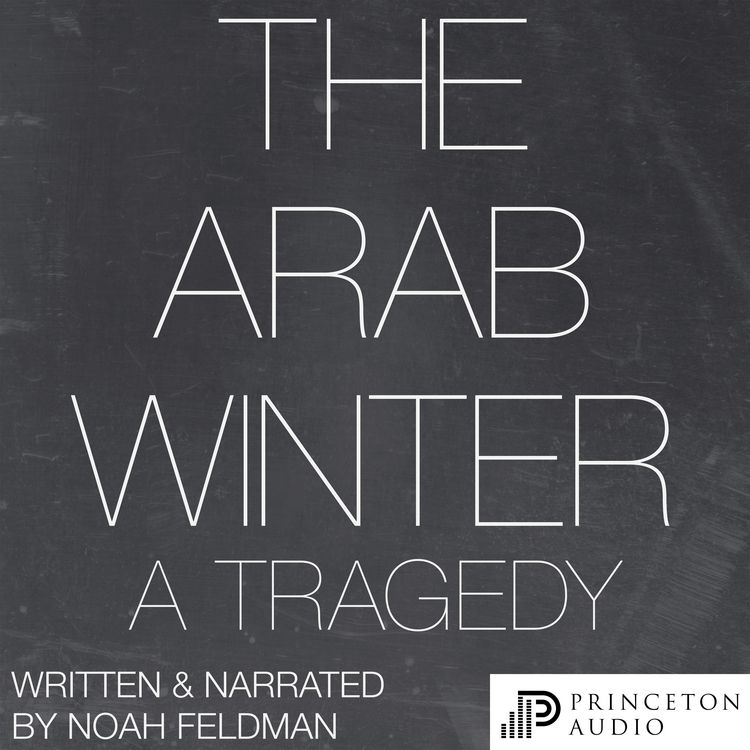 Produktbild: The Arab Winter