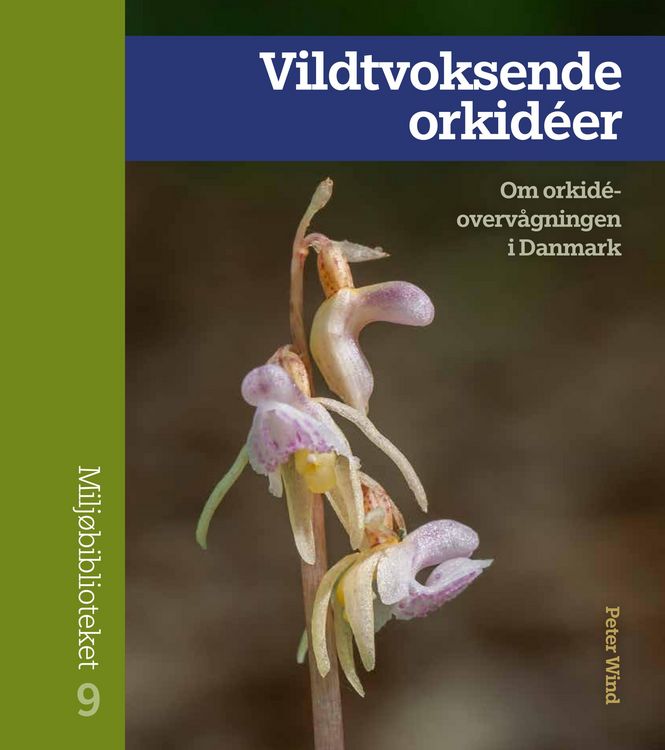 Produktbild: Vildtvoksende orkid&eacute;er