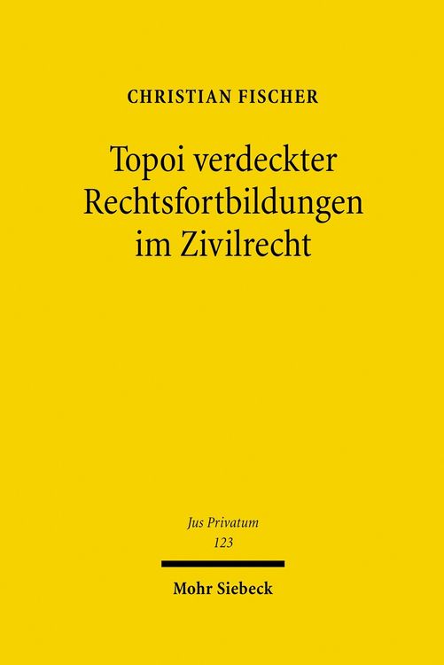 Produktbild: Topoi verdeckter Rechtsfortbildungen im Zivilrecht