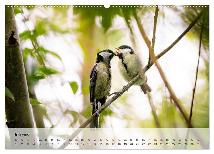 Produktbild: Magische Tiermomente (hochwertiger Premium Wandkalender 2027 DIN A2 quer), Kunstdruck in Hochglanz