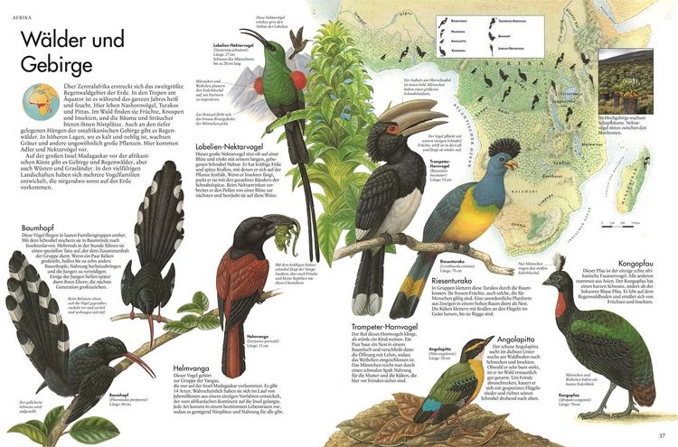 Produktbild: Atlas der V&ouml;gel
