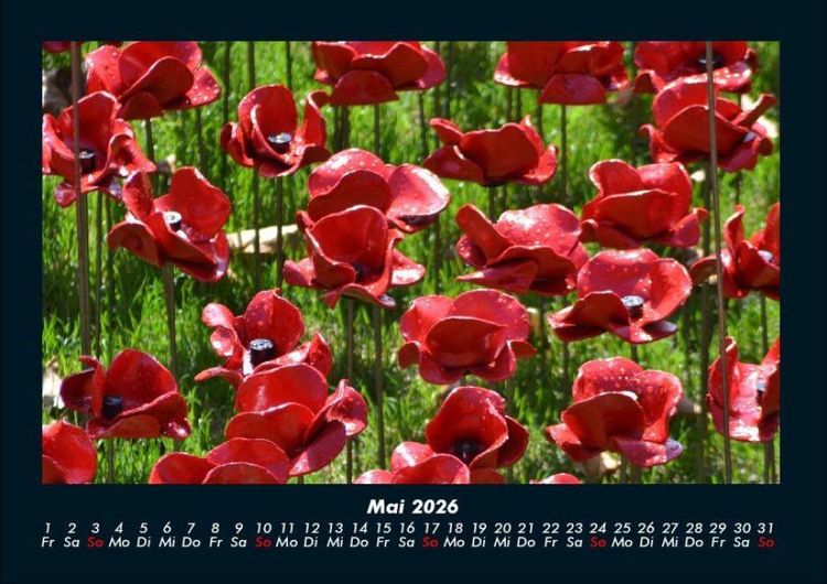 Produktbild: Blumenkalender 2026 Fotokalender DIN A4
