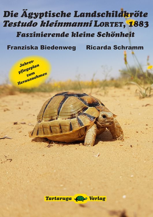 Produktbild: Die &Auml;gyptische Landschildkr&ouml;te Testudo kleinmanni Lortet, 1883
