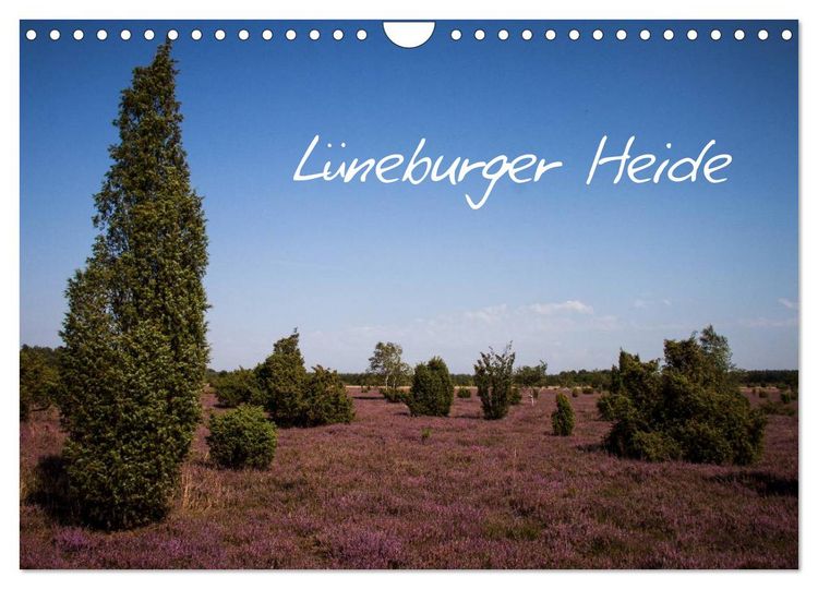 Produktbild: L&uuml;neburger Heide (Wandkalender 2026 DIN A4 quer), CALVENDO Monatskalender