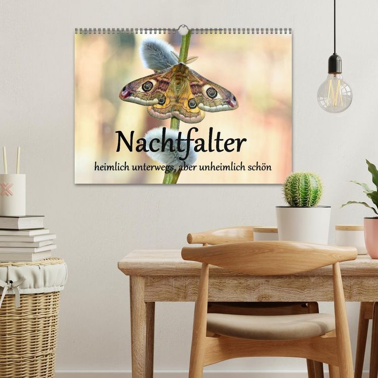 Produktbild: Nachtfalter - heimlich unterwegs, aber unheimlich sch&ouml;n (Wandkalender 2026 DIN A3 quer), CALVENDO Monatskalender
