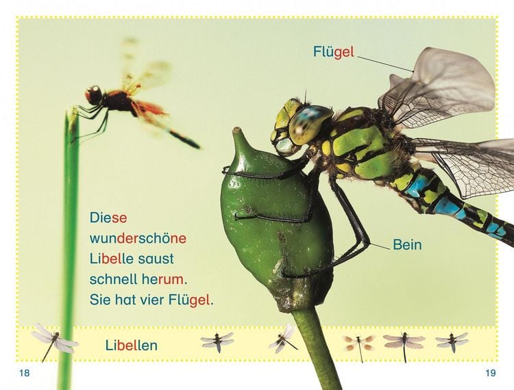 Produktbild: SUPERLESER! Wer versteckt sich im Garten?