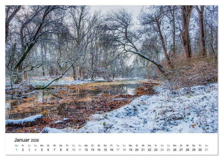Produktbild: Magie der W&auml;lder Britanniens (Wandkalender 2026 DIN A4 quer), CALVENDO Monatskalender