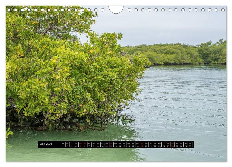 Produktbild: Galapagos- Landschaften (Wandkalender 2026 DIN A4 quer), CALVENDO Monatskalender