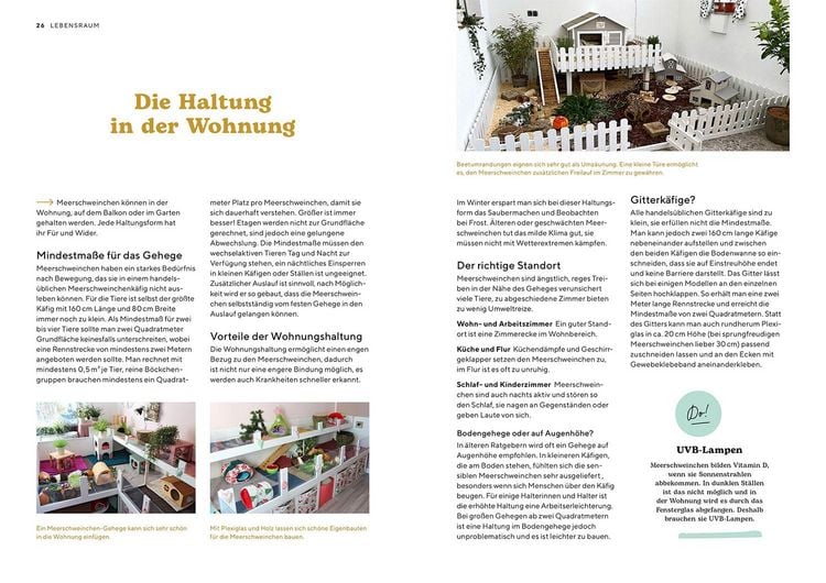 Produktbild: Meerschweinchen