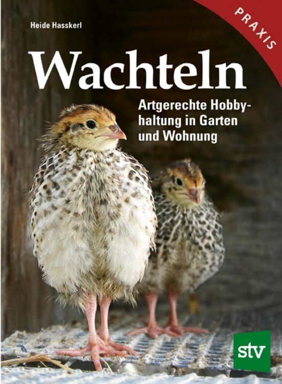 Produktbild: Wachteln