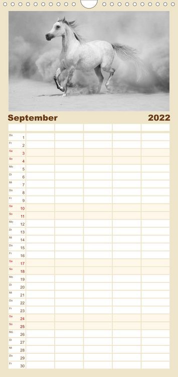 Produktbild: Familienplaner Arabische Pferde (Wandkalender 2022 , 21 cm x 45 cm, hoch)