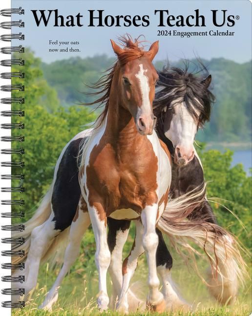 Produktbild: What Horses Teach Us 2024 6.5 X 8.5 Engagement Calendar