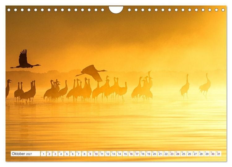 Produktbild: Natur und Tierparadies (Wandkalender 2027 DIN A4 quer), CALVENDO Monatskalender