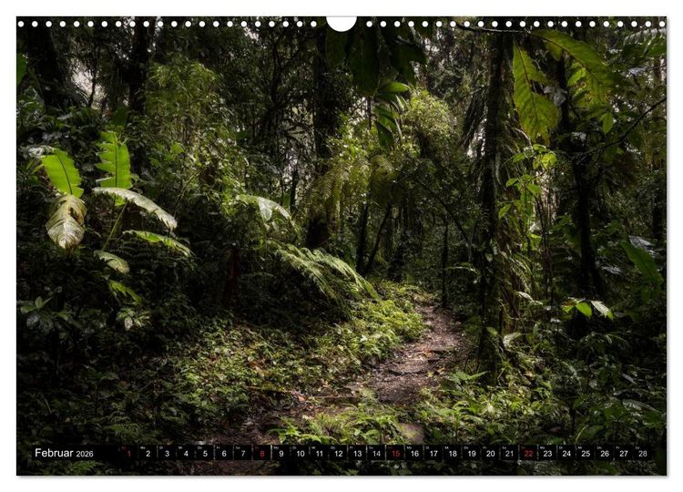 Produktbild: COSTA RICA Farben und Licht (Wandkalender 2026 DIN A3 quer), CALVENDO Monatskalender