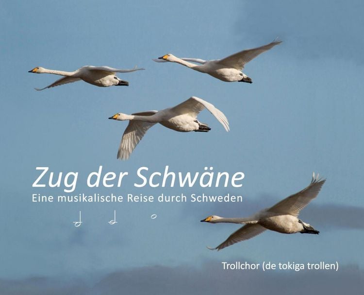 Produktbild: Zug der Schw&auml;ne