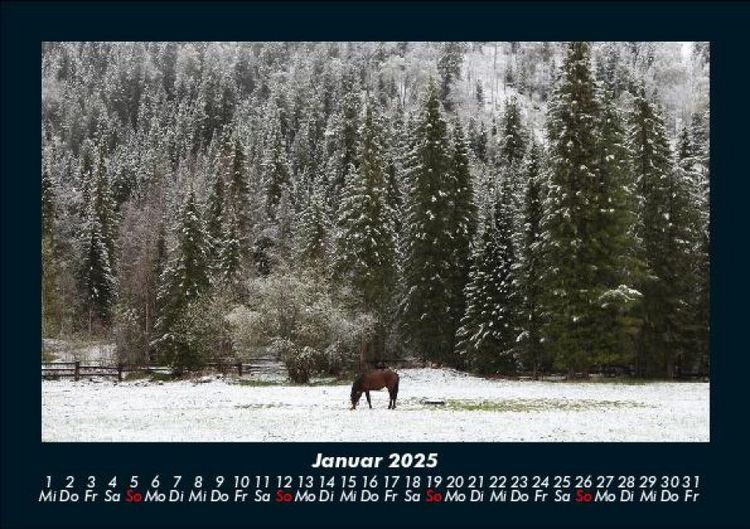 Produktbild: Die Welt der Pferde 2025 Fotokalender DIN A5