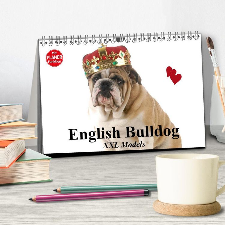 Produktbild: English Bulldog XXL Models (Tischkalender 2026 DIN A5 quer), CALVENDO Monatskalender
