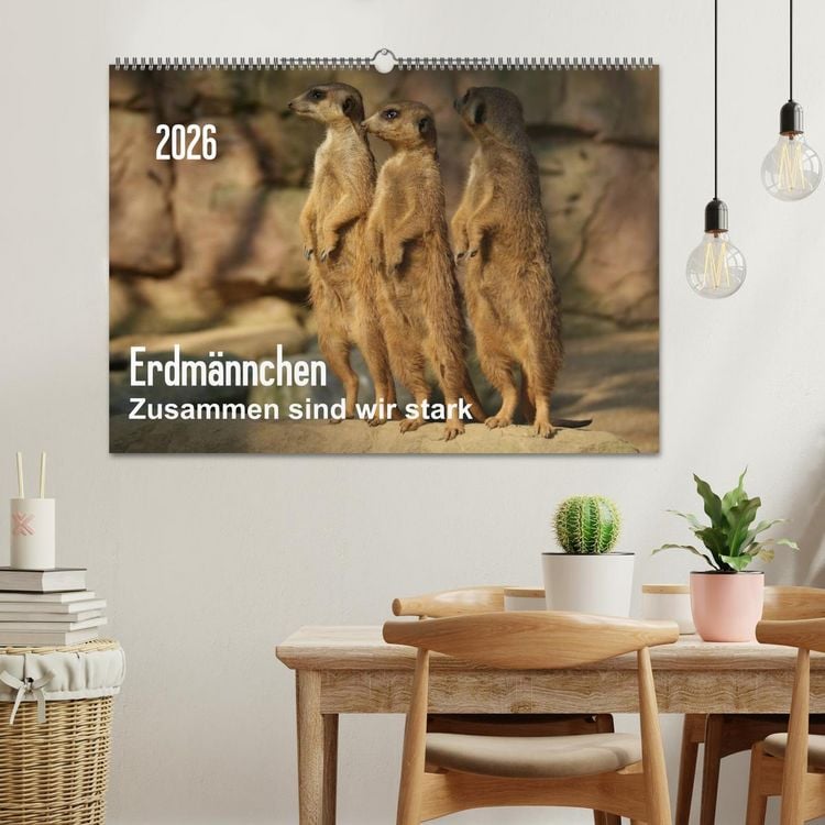 Produktbild: Erdm&auml;nnchen &ndash; Zusammen sind wir stark / CH-Version (Wandkalender 2026 DIN A2 quer), CALVENDO Monatskalender