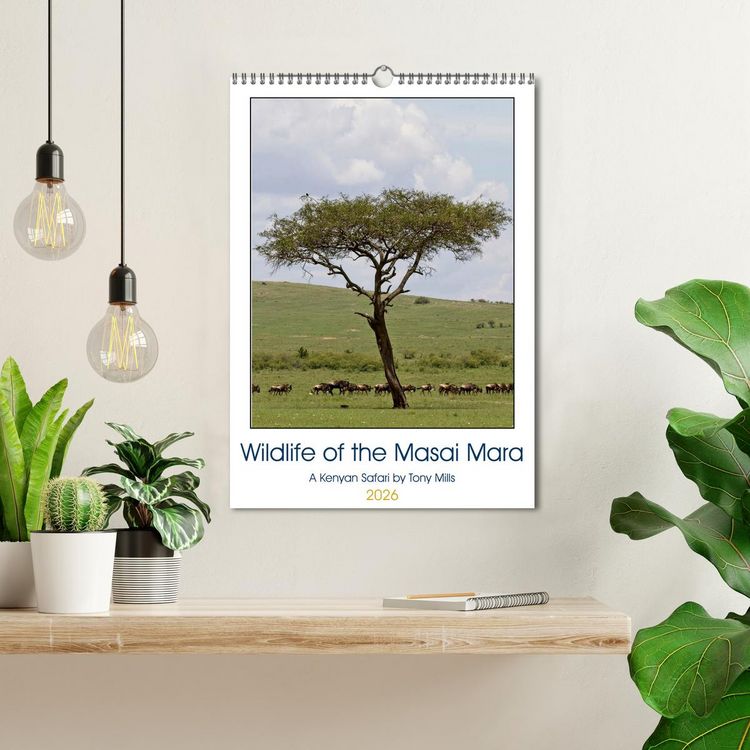 Produktbild: Wildlife of the Masai Mara (Wall Calendar 2026 DIN A3 portrait), CALVENDO 12 Month Wall Calendar