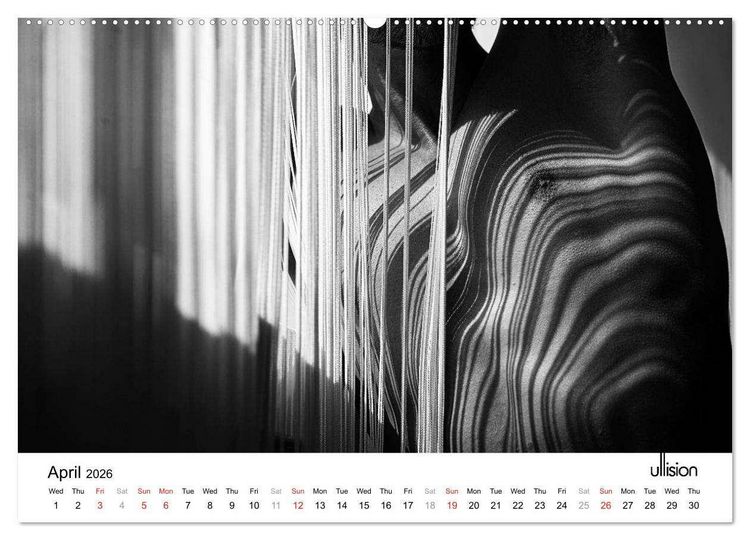 Produktbild: Male Nude Art (High Quality Premium Wall Calendar 2026 DIN A2 landscape),CALVENDO 12 Month Wall Calendar