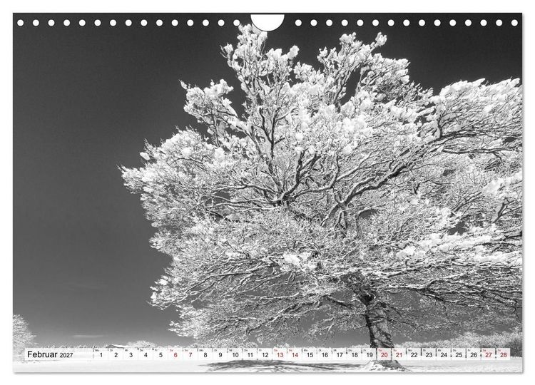 Produktbild: Traumhafte Allg&auml;uer Alpen (Wandkalender 2027 DIN A4 quer), CALVENDO Monatskalender
