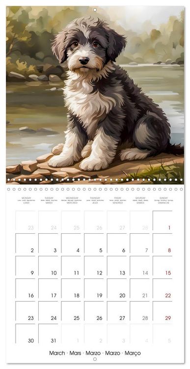 Produktbild: Aussiedoodle - Dogs to love (Wall Calendar 2026 12 &times; 12 Inch) CALVENDO 12 Month Wall Calendar