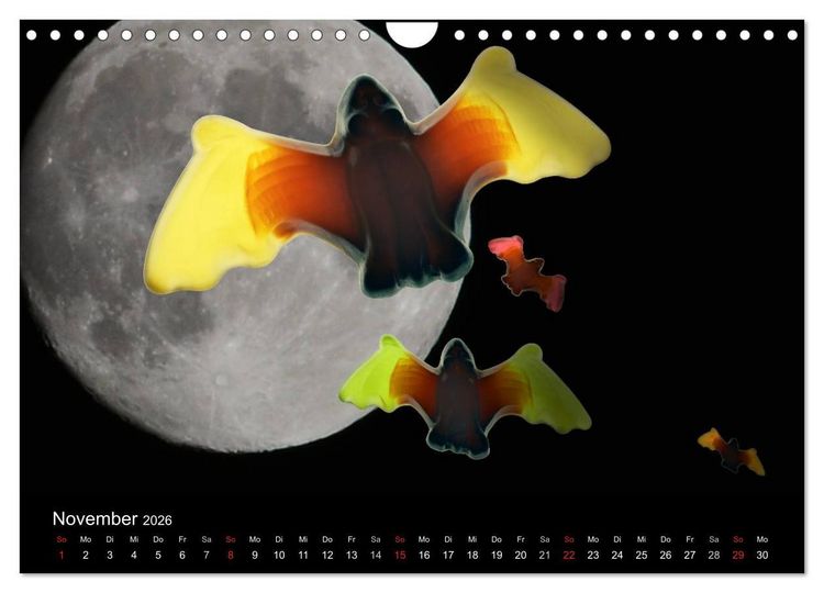 Produktbild: Die Welt der Fruchtgummis (Wandkalender 2026 DIN A4 quer), CALVENDO Monatskalender