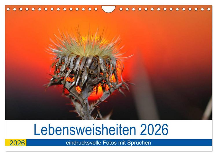 Produktbild: Lebensweisheiten 2026 (Wandkalender 2026 DIN A4 quer), CALVENDO Monatskalender