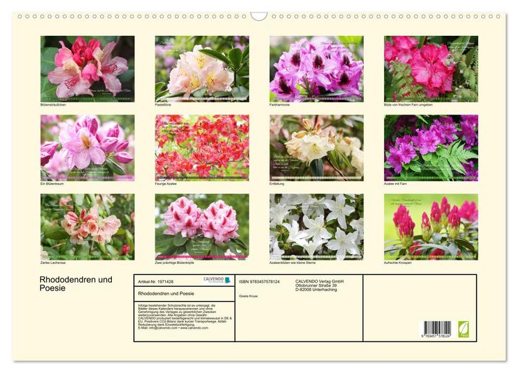 Produktbild: Rhododendren und Poesie (Wandkalender 2026 DIN A2 quer), CALVENDO Monatskalender