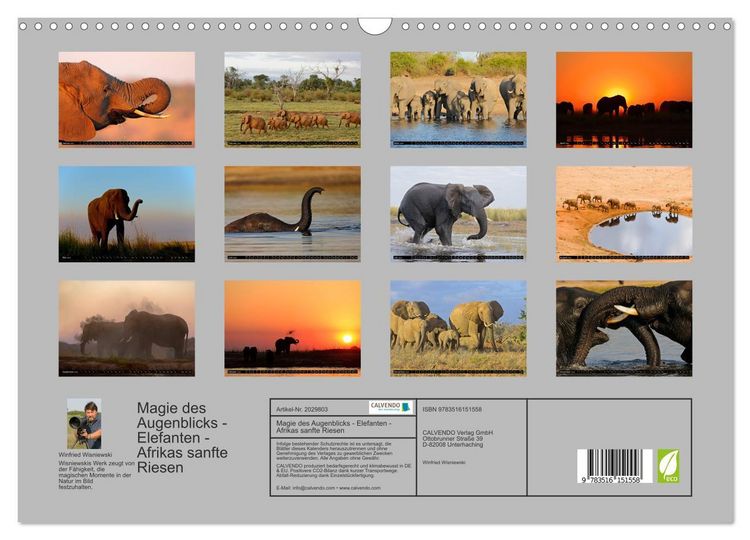 Produktbild: Magie des Augenblicks - Elefanten - Afrikas sanfte Riesen (Wandkalender 2026 DIN A3 quer), CALVENDO Monatskalender