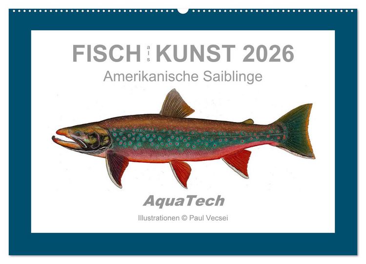 Produktbild: Fisch als Kunst 2026: Amerikanische Saiblinge (Wandkalender 2026 DIN A2 quer), CALVENDO Monatskalender