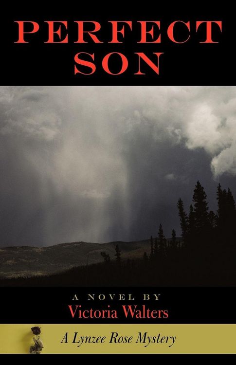Produktbild: Perfect Son