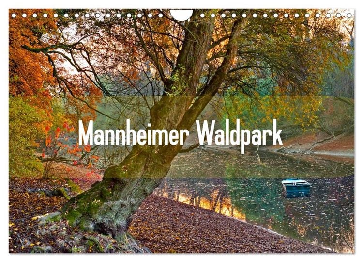 Produktbild: Mannheimer Waldpark (Wandkalender 2026 DIN A4 quer), CALVENDO Monatskalender