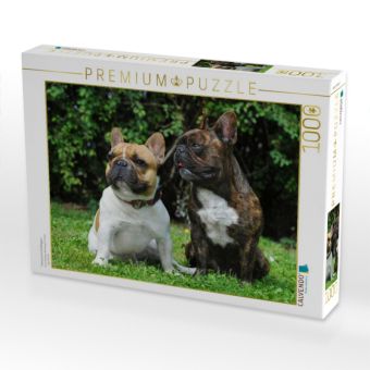 Produktbild: CALVENDO Puzzle Franz&ouml;sische Bulldoggen | 1000 Teile Lege-Gr&ouml;&szlig;e 64x48cm Foto-Puzzle f&uuml;r gl&uuml;ckliche Stunden