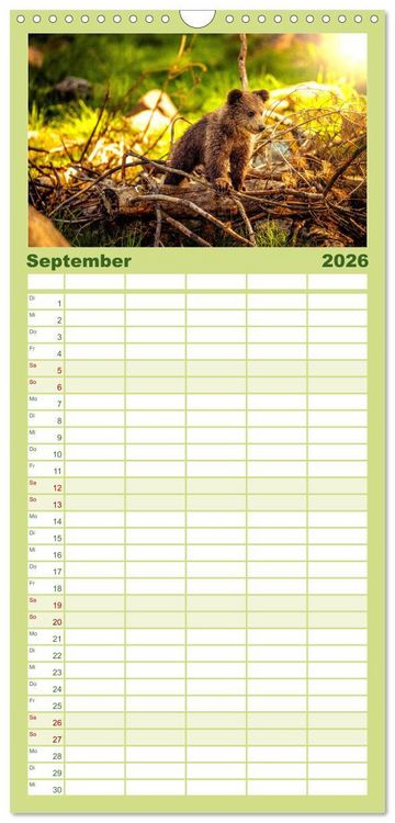 Produktbild: Familienplaner 2026 - B&auml;ren - Pandas, Grizzlyb&auml;ren und Co. mit 5 Spalten (Wandkalender, 21 x 45 cm) CALVENDO