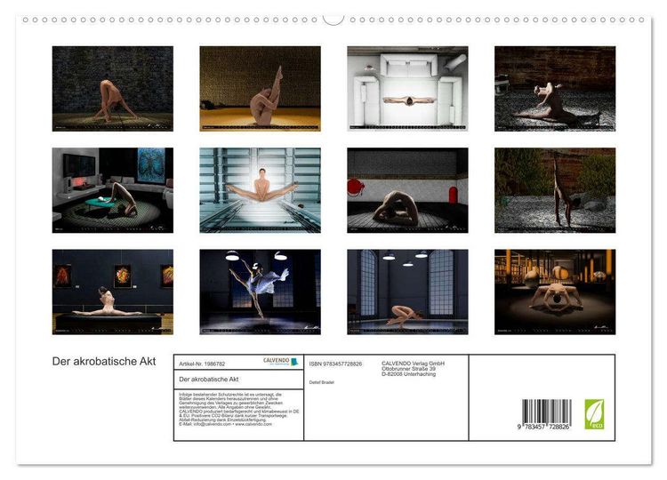 Produktbild: Der akrobatische Akt (hochwertiger Premium Wandkalender 2026 DIN A2 quer), Kunstdruck in Hochglanz