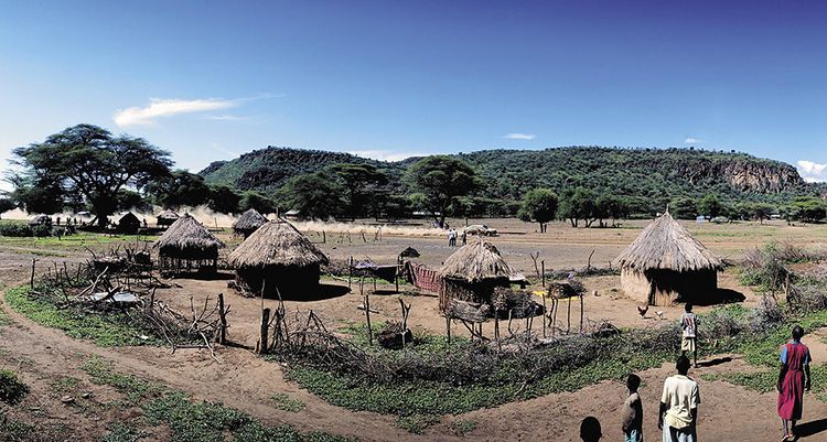 Produktbild: Safari Rally