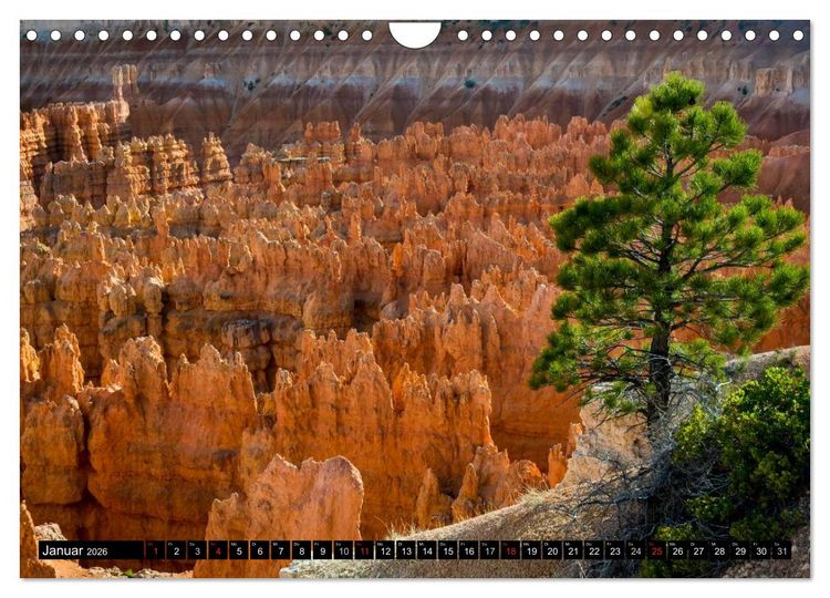Produktbild: USA Der faszinierende S&uuml;dwesten (Wandkalender 2026 DIN A4 quer), CALVENDO Monatskalender