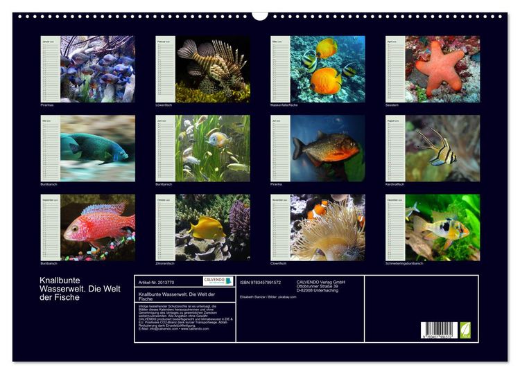 Produktbild: Knallbunte Wasserwelt. Die Welt der Fische (Wandkalender 2026 DIN A2 quer), CALVENDO Monatskalender