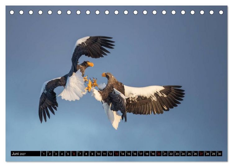Produktbild: Japanische Vogelwelt im Winter (Tischkalender 2027 DIN A5 quer), CALVENDO Monatskalender