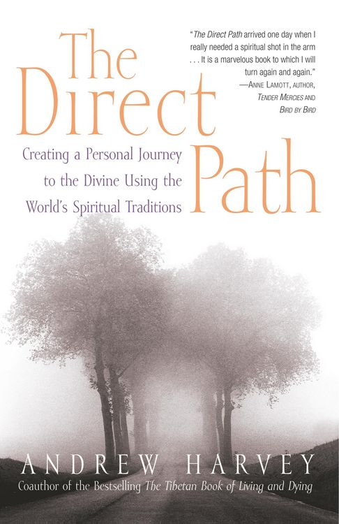 Produktbild: The Direct Path