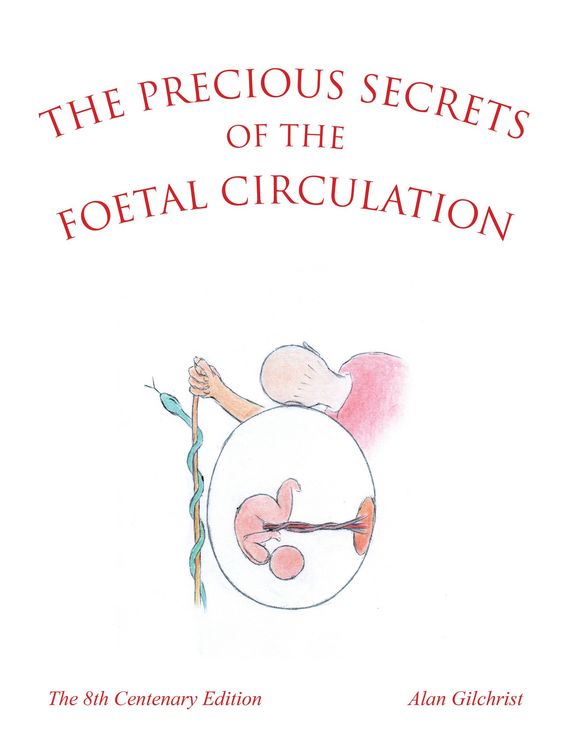 Produktbild: The Precious Secrets of the Foetal Circulation