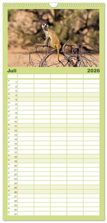 Produktbild: Familienplaner 2026 - Afrikas Tierwelt - Erdm&auml;nnchen mit 5 Spalten (Wandkalender, 21 x 45 cm) CALVENDO