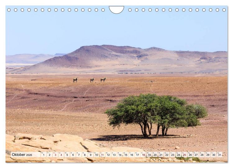 Produktbild: Namibia - Kunene (Wandkalender 2026 DIN A4 quer), CALVENDO Monatskalender
