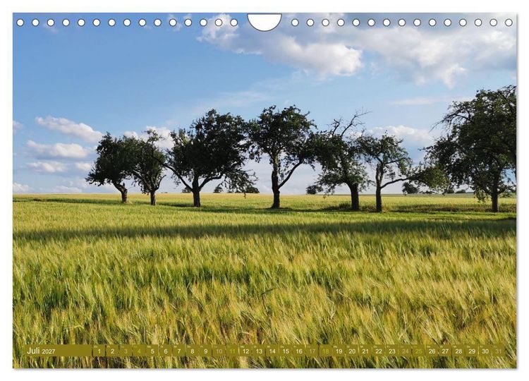 Produktbild: Apfelbaum und Streuobstwiesen (Wandkalender 2027 DIN A4 quer), CALVENDO Monatskalender